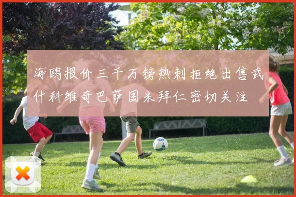 海鸥报价三千万镑热刺拒绝出售武什科维奇巴萨国米拜仁密切关注